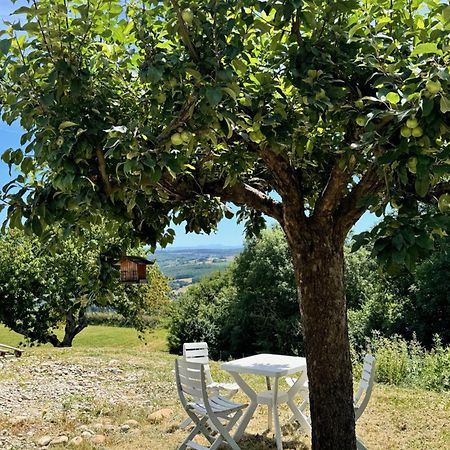 Gite Chez Polo Villa Chateauneuf-de-Galaure Exteriör bild